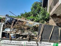 Best Shed Removal  in Buhl, MN